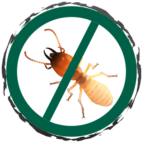 Affordable Termite Control Logan